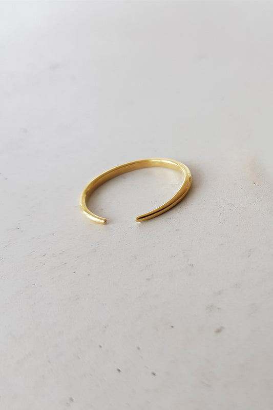 Anillo Horn de oro