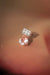 Pink Morganite Drop Earring