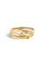 Root of gold IV: Terra, 14K gold ring